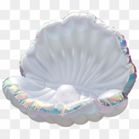 Sea Shell Float, HD Png Download - pool floaties png