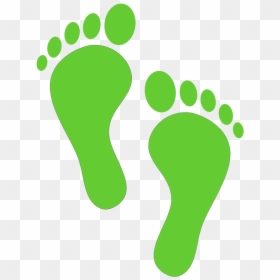 Green Walking Footprints Clipart - Footprint Clipart, HD Png Download - footprints in the sand png