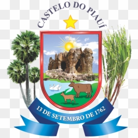 Brasao De Castelo Do Piaui - Brasão De Castelo Do Piaui, HD Png Download - sea plant png