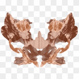 Blue Crab Blot Copper - Freshwater Crab, HD Png Download - crab.png