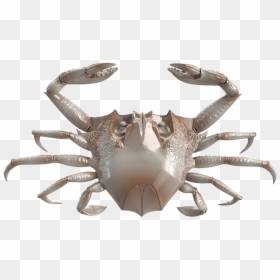 Robotic Crab, HD Png Download - crab.png