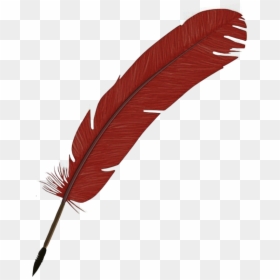 Hand-painted Feathers Png Download - Illustration, Transparent Png - red feather png