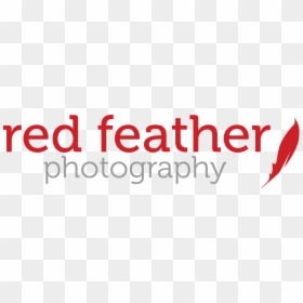 Red Feather Photography - Graphics, HD Png Download - red feather png