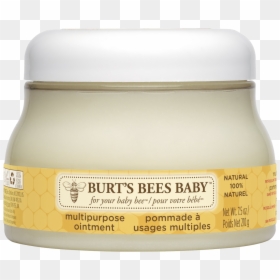 Burt's Bees, HD Png Download - burt's bees logo png