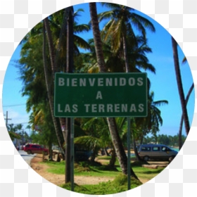 Street Sign, HD Png Download - street sign pole png