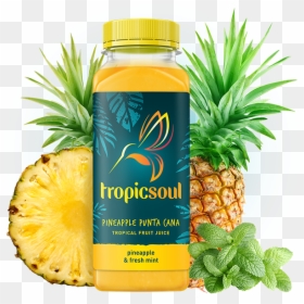 Punta Array 600 - Pineapple, HD Png Download - tropical fruit png