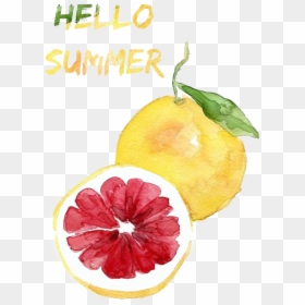 Minimalist Watercolor, HD Png Download - hello summer png