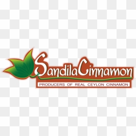 Realceyloncinnamon - Graphic Design, HD Png Download - cinnamon sticks png