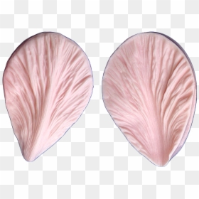 Earrings, HD Png Download - lettuce leaf png