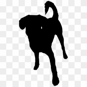 Silhouettes Of Dogs Png, Transparent Png - silhouette dog png