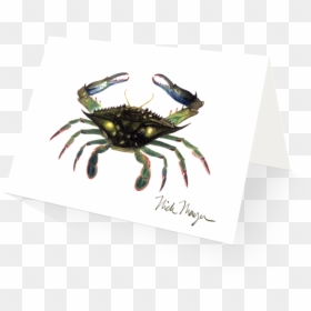 Blue Crab, Claws In, HD Png Download - crab claw png