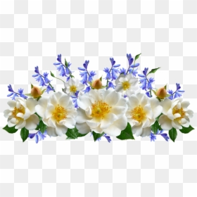 Bluebells Flowers Png, Transparent Png - white rose bush png