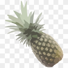 Pineapple Outline Png, Transparent Png - pineapple outline png
