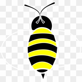 Honeybee, HD Png Download - bee outline png