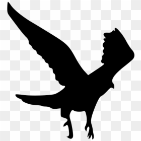 The Outline Of The Eagle - Silhouette Of Flutter Of Birds Wings, HD Png Download - eagle outline png