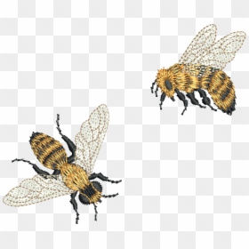 Machine Embroidery Mini Bee, HD Png Download - bee outline png