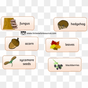 Autumn Word Cards - Autumn Words, HD Png Download - fall leaf outline png