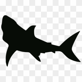 Shark Stencil, HD Png Download - water drop outline png