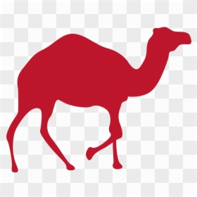 Camels Clipart Load - Arabian Camel, HD Png Download - camel clipart png