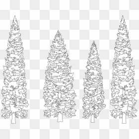 Pine Tree Clipart Coloring - White Pine Tree Vector Png, Transparent Png - pine trees clipart png