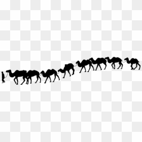 Camel Train Silhouette Desert - Camel In Desert Silhouette, HD Png Download - camel clipart png