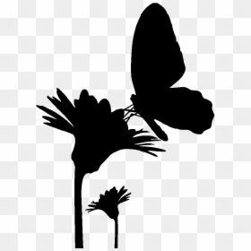 Butterfly Silhouette Drawing - Flower With Butterfly Silhouette, HD Png Download - butterfly clipart png black and white
