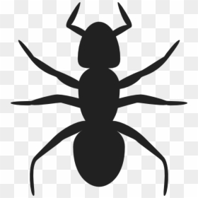 Ant Svg Clip Arts - Ant Clip Art, HD Png Download - ant clipart png