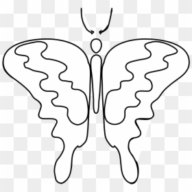 Transparent Butterfly Clipart Black And White - Illustration, HD Png Download - butterfly clipart png black and white