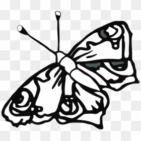 Butterfly Drawings In Black And White - Line Drawings, HD Png Download - butterfly clipart png black and white