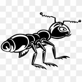 Transparent Ant Clip Art - Stiker Semut, HD Png Download - ant clipart png