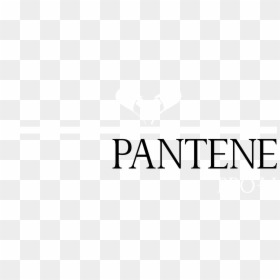 Pantene Pro V Logo Black And White - Black-and-white, HD Png Download - pantene logo png