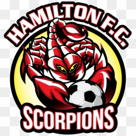 Hamilton Scorpions, HD Png Download - scorpions logo png