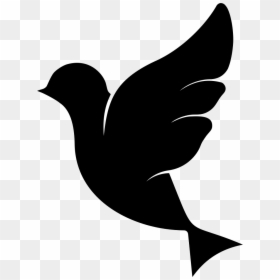 City Pigeon Logo - Pigeon Black & White Clipart, HD Png Download - ds logo png