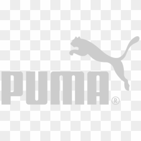 North By Northeast Puma Logo Clothing Adidas - Puma Logo Png White, Transparent Png - logo whatsapp png blanco
