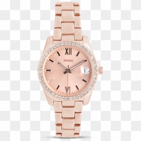 The Product Is Already In The Wishlist Browse Wishlist, HD Png Download - wishlist png
