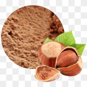 Granel 2,5 L Avellana Reus Premium - Hazelnut, HD Png Download - reus png