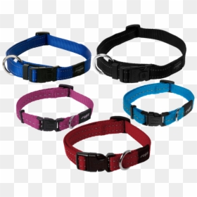 Pictures Color Dog Collar For Pets - Rogz Collars, HD Png Download - pet collar png
