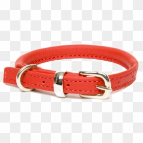 Dog Collar Free Png Image - Buckle Rolled Leather Dog Collar, Transparent Png - pet collar png