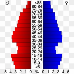 Usa Crow Wing County, Minnesota Age Pyramid - Boston Massachusetts Population Pyramid, HD Png Download - crow wing png