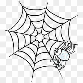 Spider Realistic Drawing - Easy Spider Web Drawing, HD Png Download - spider .png