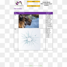 Jaguar, HD Png Download - spider .png