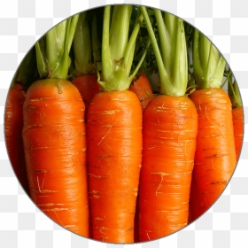 Fat Soluble Foods, HD Png Download - carrot icon png