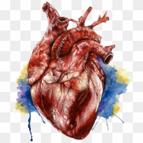 Water Color Heart Png, Transparent Png - water color heart png