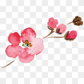 Luella Acres Flower Only - Single Flower Watercolor Transparent, HD Png Download - flower png watercolor