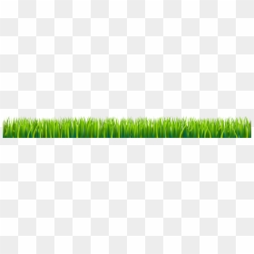 Sweet Grass, HD Png Download - tall grass texture png