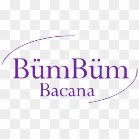 Bumbum Bacana Fitness Apparel - Chicago Title Insurance Company, HD Png Download - miami vice png