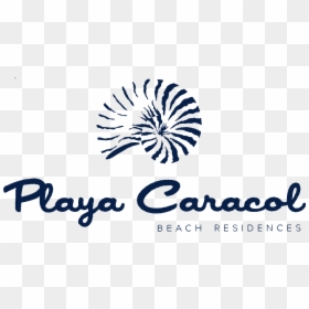 Playa Caracol - Caracol De Mar, HD Png Download - caracol png
