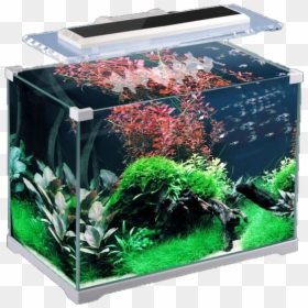 Aquarium Png - Аквариум 22 Литра Sunsun, Transparent Png - underwater plants png