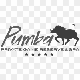 Pumba, HD Png Download - pumba png