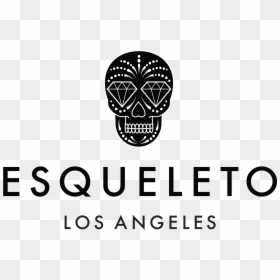 Esqueleto Shop, HD Png Download - esqueleto png